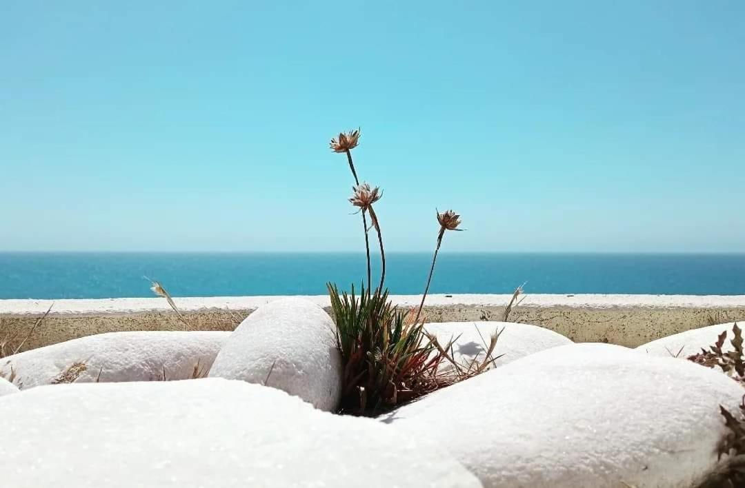 Tininha Da Ilha - Peniche Beach Escape Zewnętrze zdjęcie